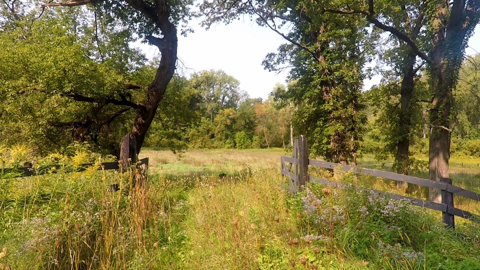 Secluded acreage, 11.8 acres, $395,000 #1487